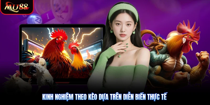 Kinh nghiệm theo kèo dựa trên diễn biến thực tế