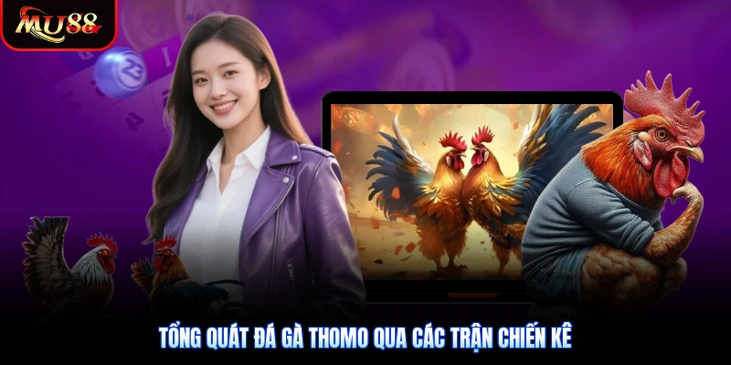 Tổng quát đá gà Thomo qua các trận chiến kê